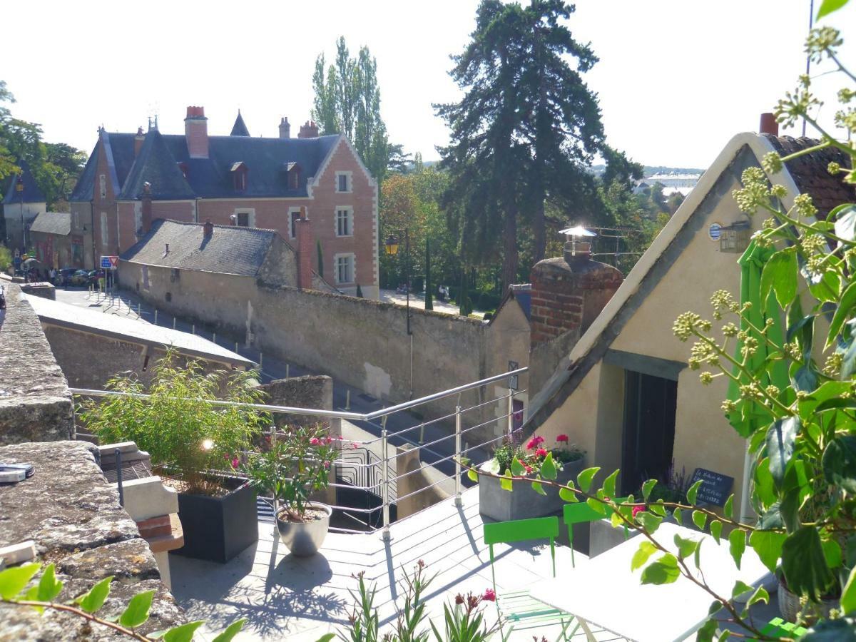 Le Balcon De Leonard Villa Amboise Exterior photo